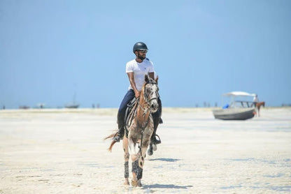 Zanzibar: Beach Horseback Ride and Swim with Your Horse