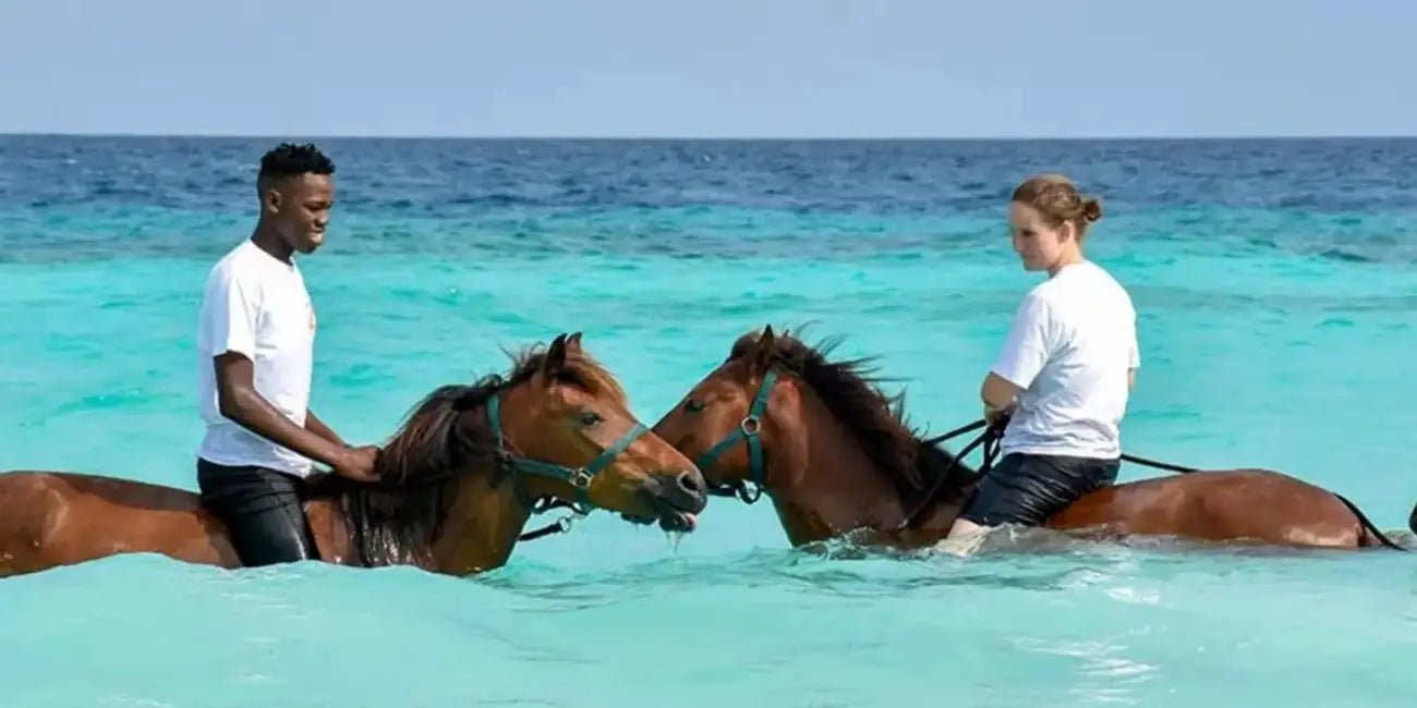 Zanzibar: Beach Horseback Ride and Swim with Your Horse