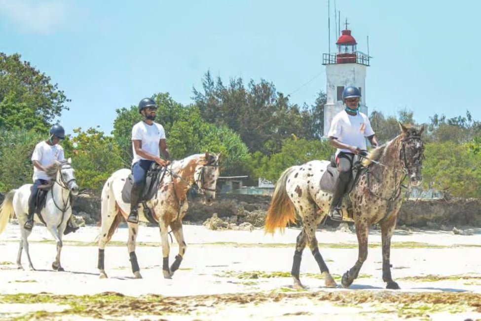 Zanzibar: Beach Horseback Ride and Swim with Your Horse