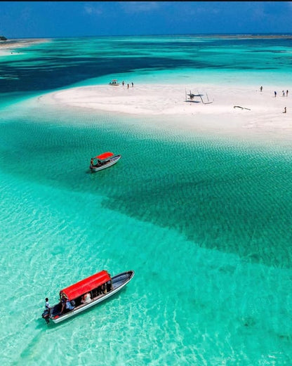 Zanzibar: Blue Lagoon, Starfish Garden, Rock Restaurant, and Maalum Cave Tour