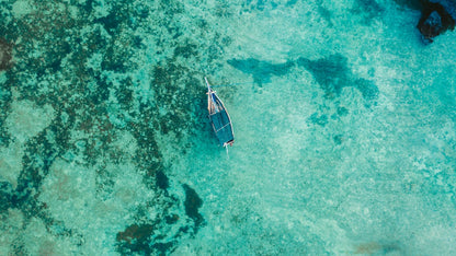 Zanzibar: Blue Lagoon, Starfish Garden, Rock Restaurant, and Maalum Cave Tour