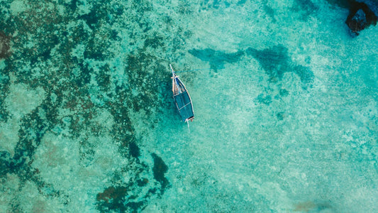 Zanzibar: Blue Lagoon, Starfish Garden, Rock Restaurant, and Maalum Cave Tour