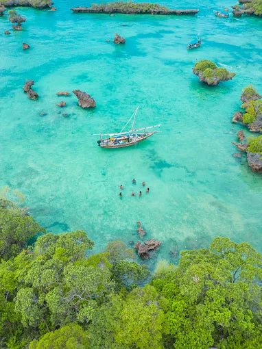 Zanzibar: Blue Lagoon Trip with Snorkeling and Kwale Island Lunch