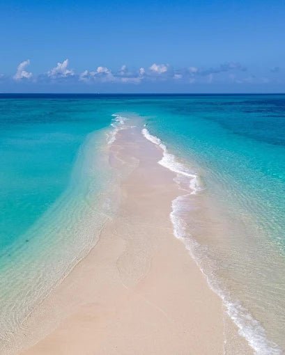 Zanzibar: Blue Lagoon Trip with Snorkeling and Kwale Island Lunch
