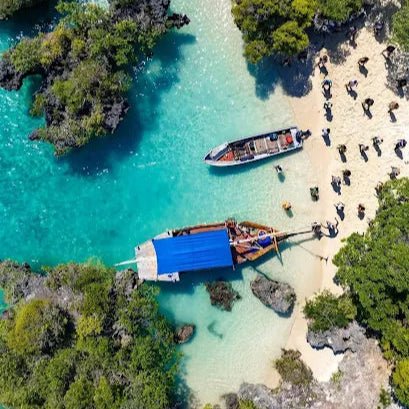 Zanzibar: Blue Lagoon Trip with Snorkeling and Kwale Island Lunch