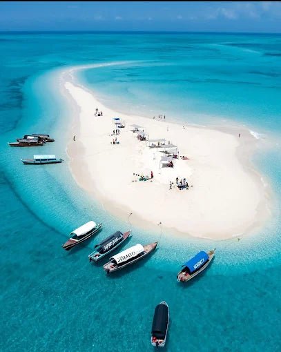 Zanzibar: Blue Lagoon Trip with Snorkeling and Kwale Island Lunch