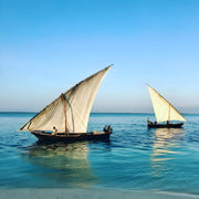 Zanzibar: Dhow Cruise with Snorkeling and Seafood Lunch on Kwale Island