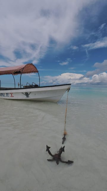 Zanzibar: Dolphin Swim and Snorkeling at Mnemba Atoll with Boat Ride