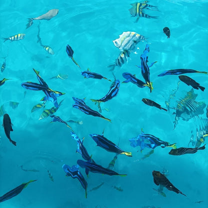 Zanzibar: Full - Day Mnemba Snorkeling, Nungwi and Kendwa Beach Tour