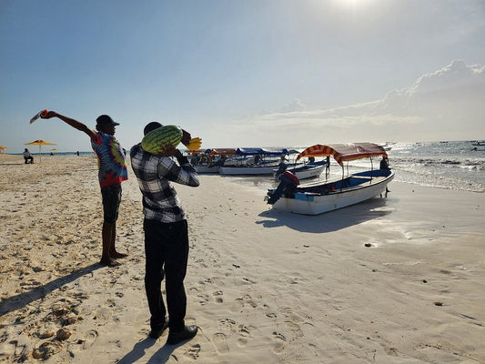 Zanzibar: Full - Day Mnemba Snorkeling, Nungwi and Kendwa Beach Tour