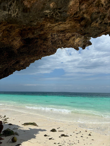 Zanzibar: Full - Day Mnemba Snorkeling, Nungwi and Kendwa Beach Tour