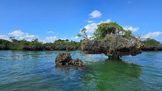 Zanzibar: Full - Day Safari Blue Tour with Snorkeling and Seafood Barbecue