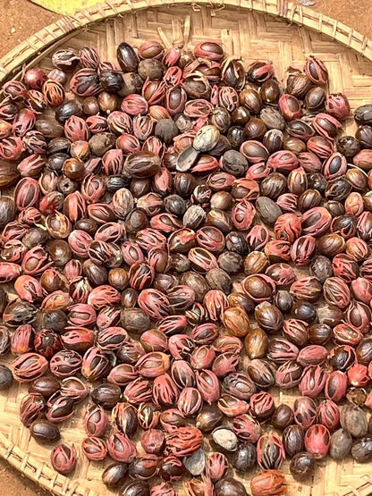 Zanzibar: Full - Day Spice Farm, Prison Island and Stone Town Highlights Tour