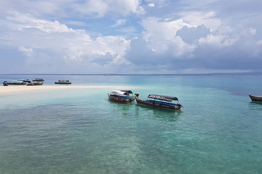 Zanzibar: Full - Day Spice Farm, Prison Island and Stone Town Highlights Tour