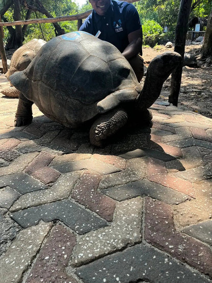 Zanzibar: Full - Day Spice Farm, Prison Island and Stone Town Highlights Tour