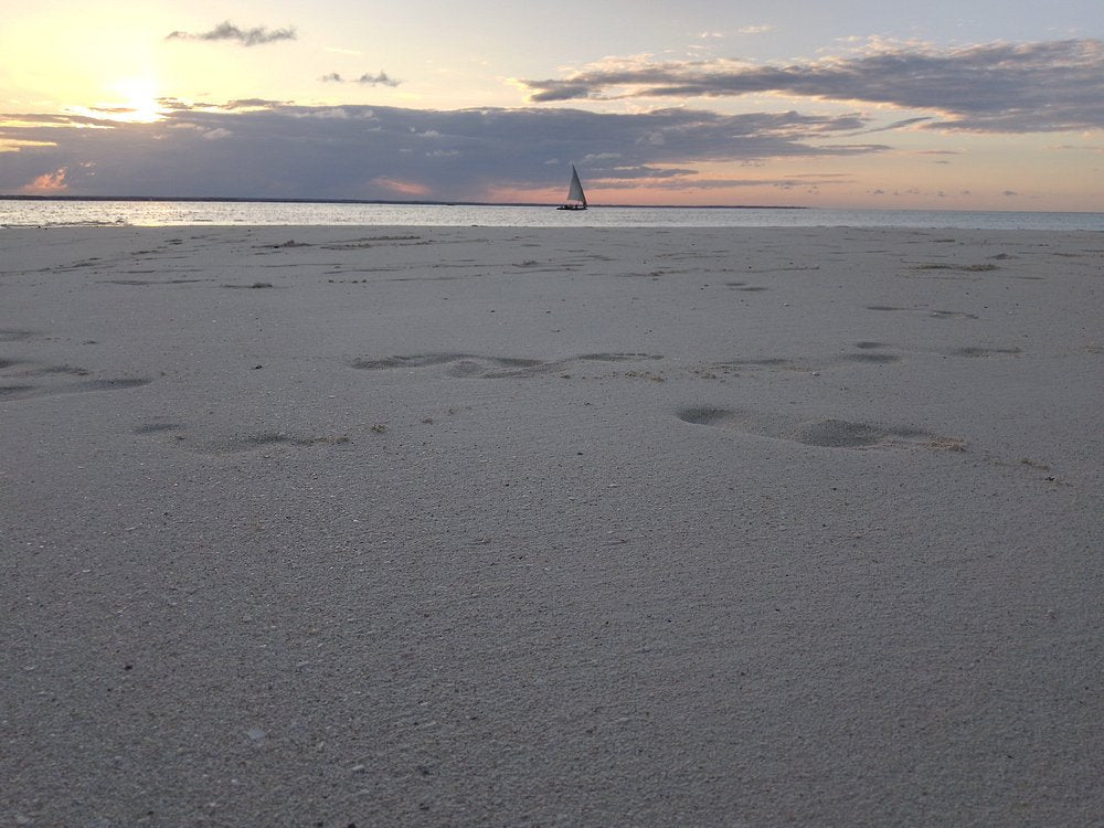 Zanzibar: Full - Day Stone Town and Prison Island Private Tour with Snorkeling