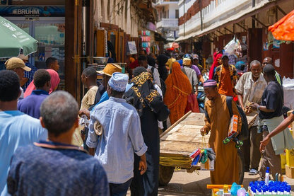 Zanzibar: Full - Day Stone Town and Prison Island Private Tour with Snorkeling
