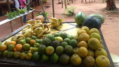 Zanzibar: Full - Day Stone Town, Spice Farm, and Prison Island Private Tour