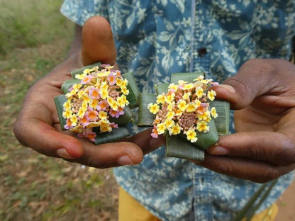 Zanzibar: Full - Day Stone Town, Spice Farm, and Prison Island Private Tour