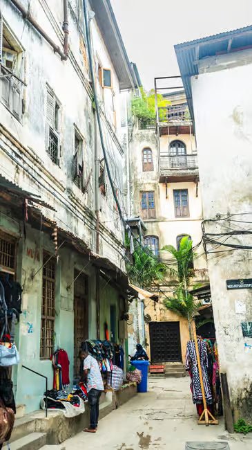 Zanzibar: Full - Day Stone Town Walk, Spice Farm and Prison Island Safari
