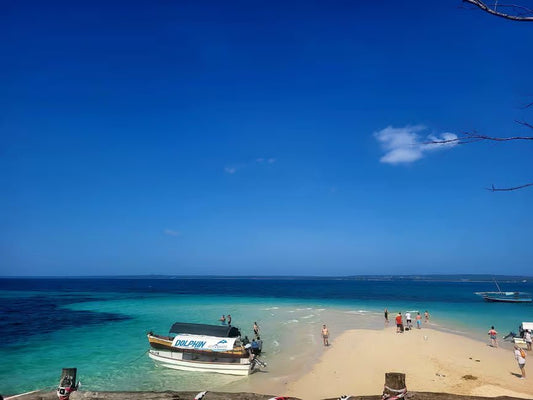 Zanzibar: Full - Day Stone Town Walk, Spice Farm and Prison Island Safari