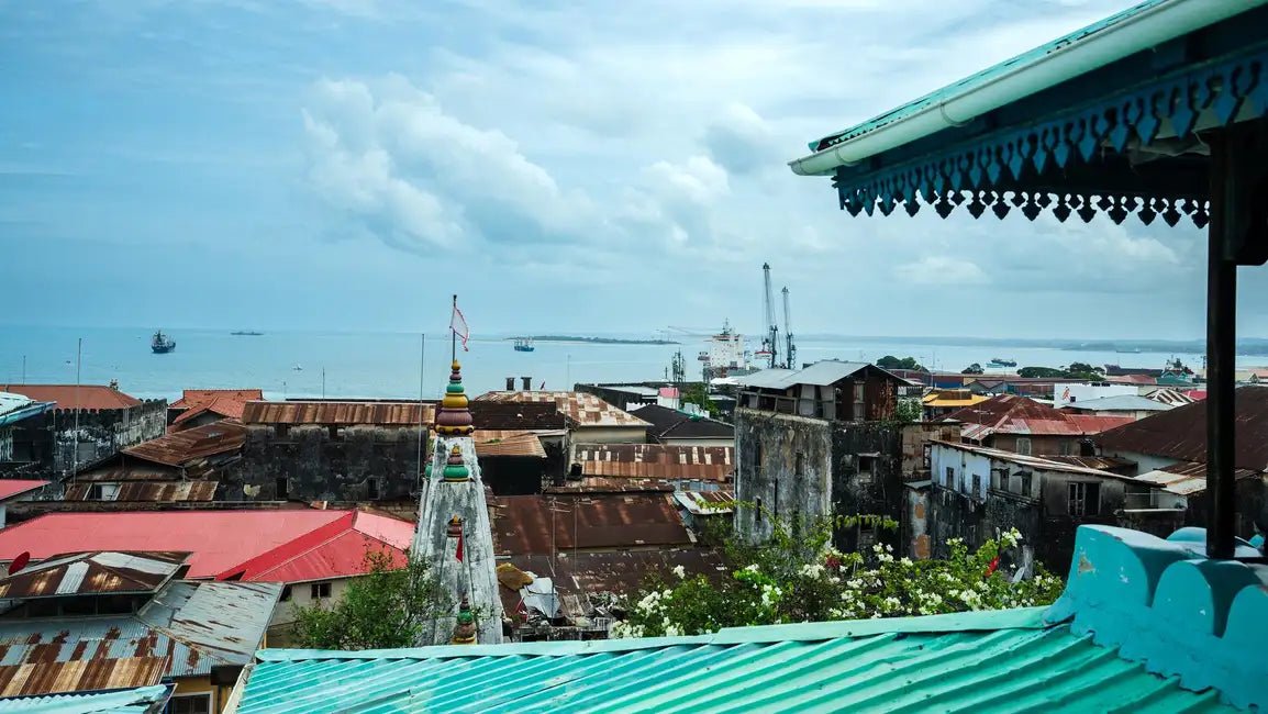 Zanzibar: Full - Day Stone Town Walk, Spice Farm and Prison Island Safari