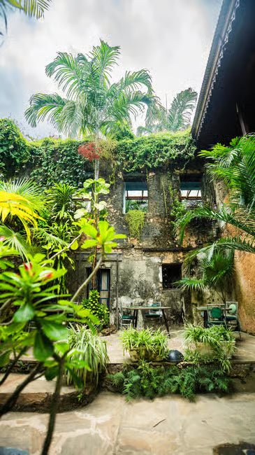 Zanzibar: Full - Day Stone Town Walk, Spice Farm and Prison Island Safari