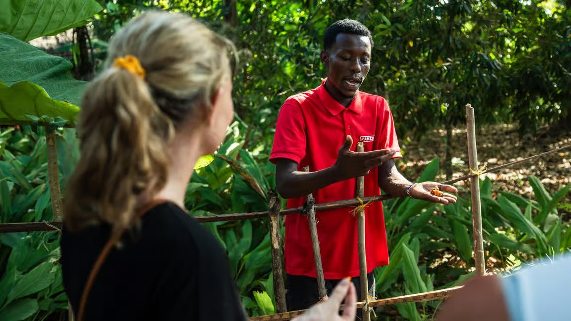 Zanzibar: Full - Day Stone Town Walk, Spice Farm and Prison Island Safari