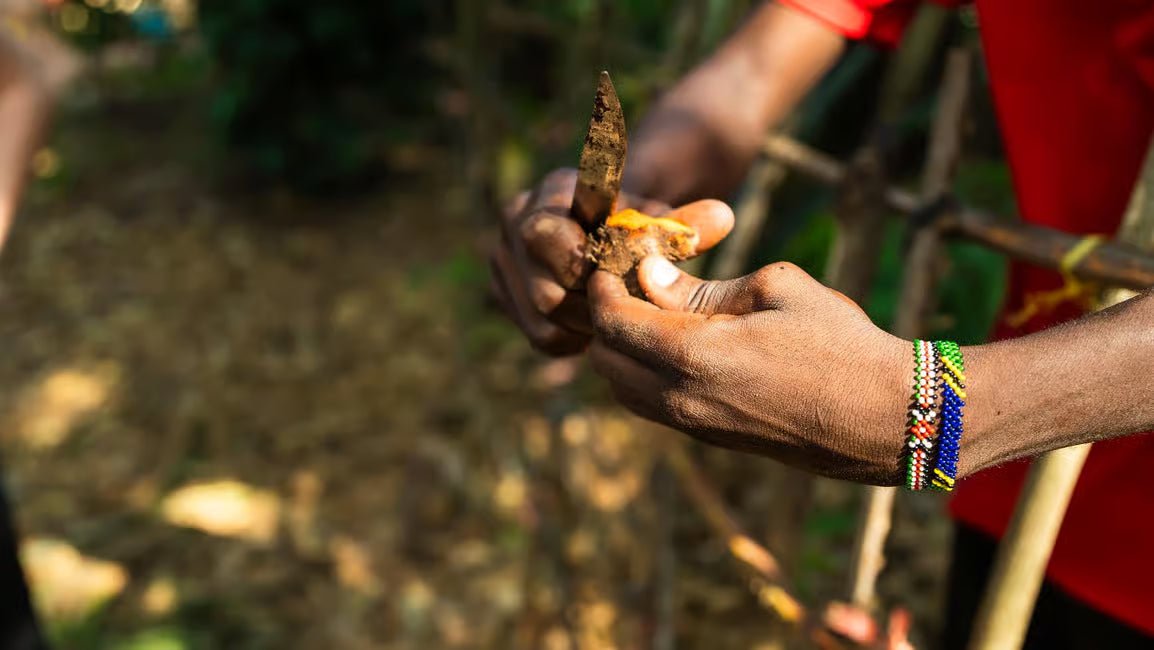 Zanzibar: Full - Day Stone Town Walk, Spice Farm and Prison Island Safari