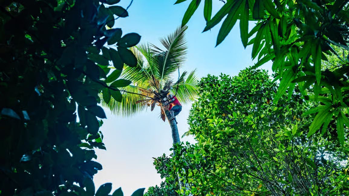 Zanzibar: Full - Day Stone Town Walk, Spice Farm and Prison Island Safari