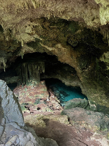 Zanzibar: Full Day Tour to Mnemba Island, Jozani Forest, Kuza Cave, Paje Beach and The Rock