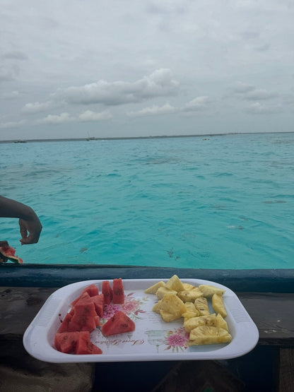 Zanzibar: Full Day Tour to Mnemba Island, Jozani Forest, Kuza Cave, Paje Beach and The Rock