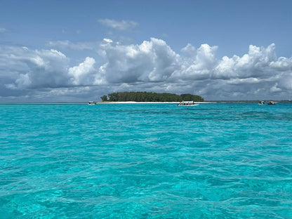 Zanzibar: Full Day Tour to Mnemba Island, Jozani Forest, Kuza Cave, Paje Beach and The Rock