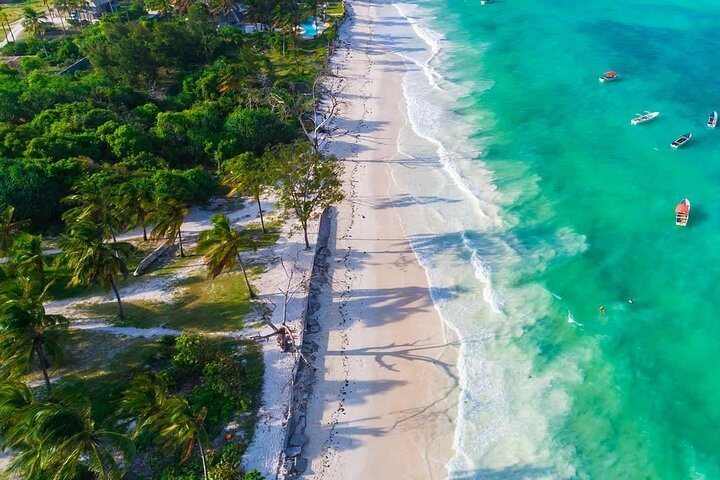 Zanzibar: Full Day Tour to Mnemba Island, Jozani Forest, Kuza Cave, Paje Beach and The Rock