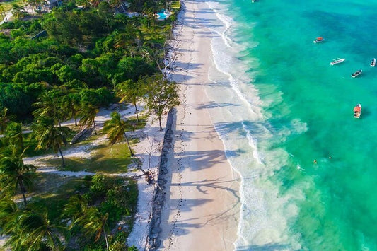 Zanzibar: Full Day Tour to Mnemba Island, Jozani Forest, Kuza Cave, Paje Beach and The Rock