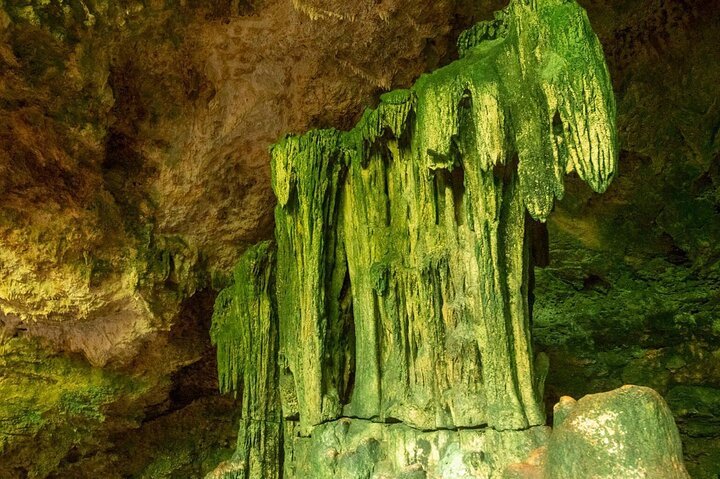Zanzibar: Full Day Tour to Mnemba Island, Jozani Forest, Kuza Cave, Paje Beach and The Rock