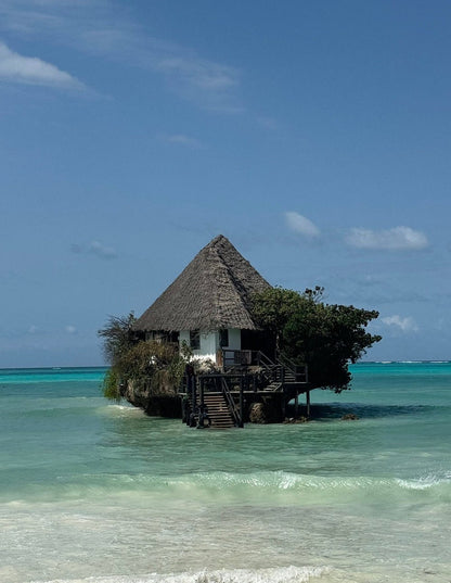Zanzibar: Full Day Tour to Mnemba Island, Jozani Forest, Kuza Cave, Paje Beach and The Rock