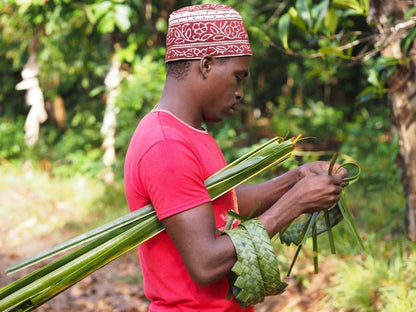 Zanzibar: Full - Day Tour to Spice Farm, Stone Town and Prison Island with Lunch