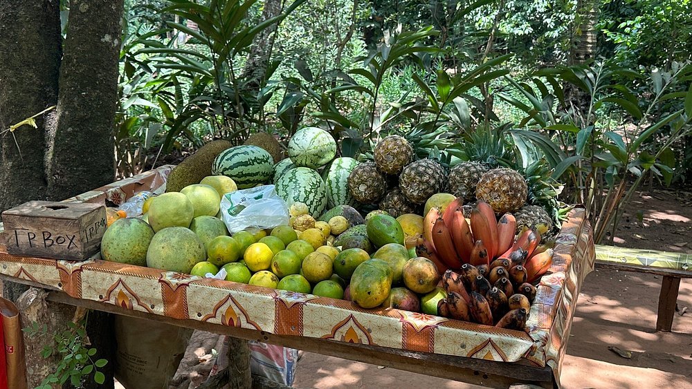Zanzibar: Guided Spice Farm Tour with Tastings and Swahili Lunch