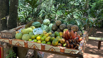 Zanzibar: Guided Spice Farm Tour with Tastings and Swahili Lunch