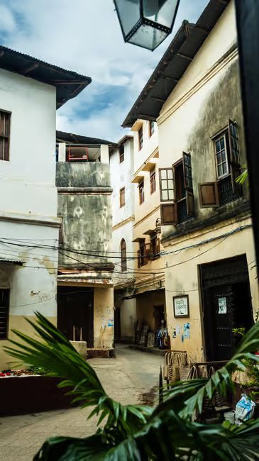 Zanzibar: Guided Stone Town Walking Tour with Optional Hotel Pickup