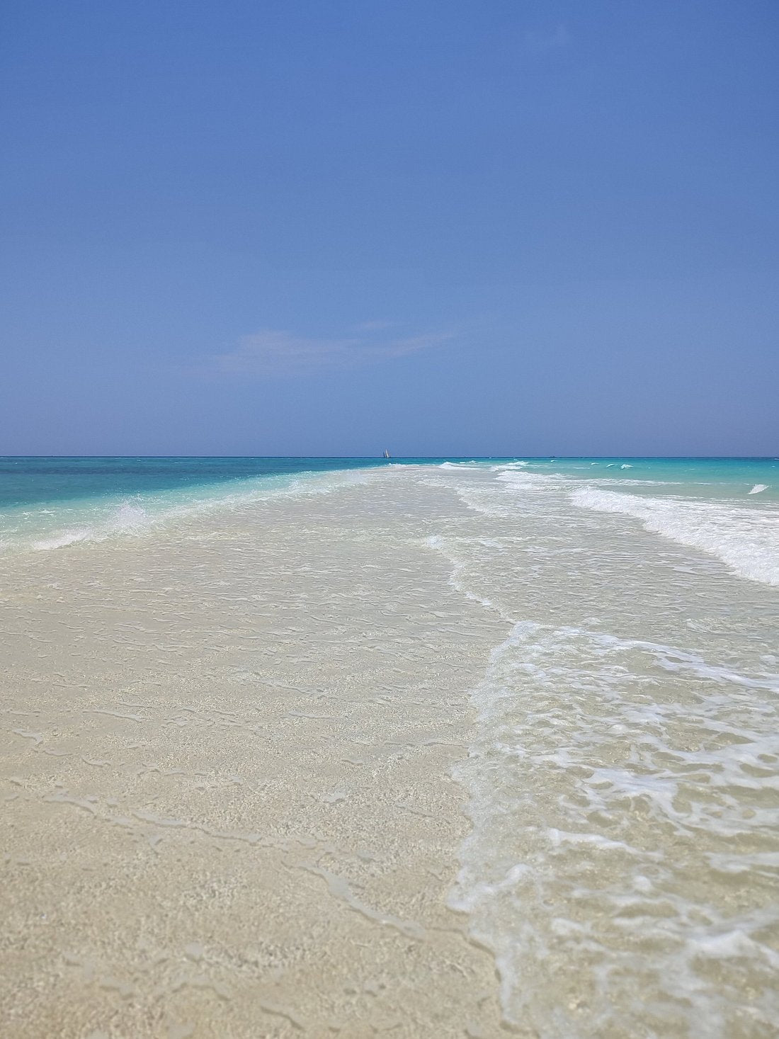 Zanzibar: Half - Day Private Boat Tour to Prison Island and Nakupenda Sandbank