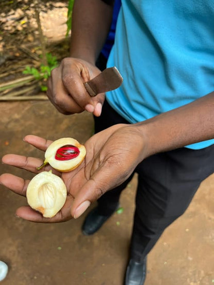 Zanzibar: Half - Day Spice Farm and Stone Town Historical Tour
