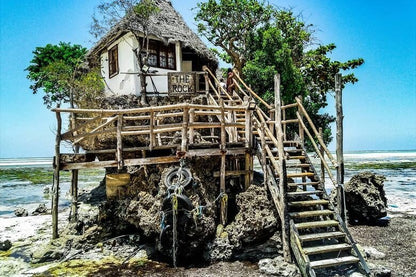 Zanzibar: Half - Day Tour to Blue Lagoon and The Rock Restaurant