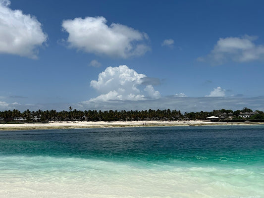 Zanzibar: Half - Day Tour to Blue Lagoon and The Rock Restaurant