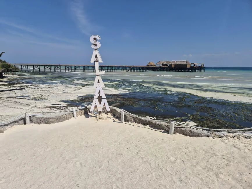 Zanzibar: Jozani Forest and Salaam Aquarium Turtle Experience