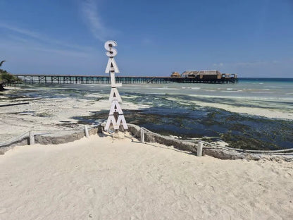 Zanzibar: Jozani Forest and Salaam Aquarium Turtle Experience