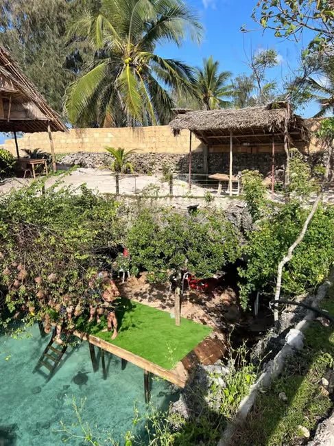Zanzibar: Jozani Forest and Salaam Aquarium Turtle Experience