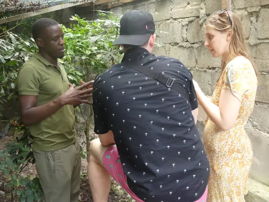 Zanzibar: Jozani Forest Day Trip with Local Zoo visit and Swimming with Turtles