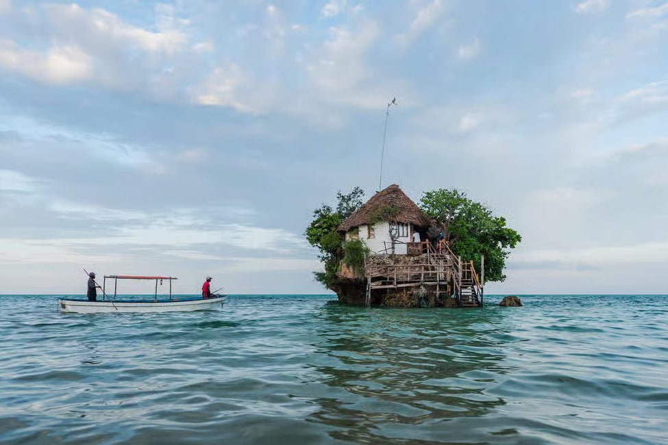 Zanzibar: Jozani Forest Guided Tour and The Rock Restaurant Excursion